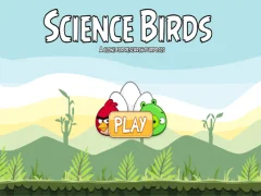 Science Birds เกมออนไลน์