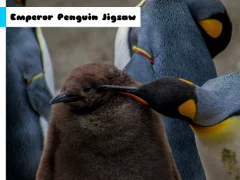 Emperor Penguin Jigsaw เกมออนไลน์