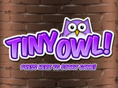 Tiny Owl เกมออนไลน์
