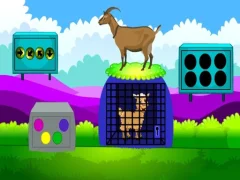 Lamb Escape เกมออนไลน์