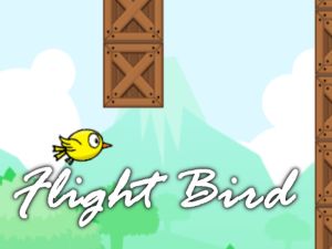 นกบิน เกมออนไลน์