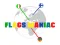 Flags Maniac เกมออนไลน์