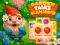 Garden Tales Mahjong เกมออนไลน์