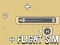 Flight Sim เกมออนไลน์