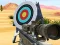 Hit Targets Shooting เกมออนไลน์