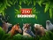 ZOO Trivia เกมออนไลน์