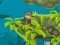 Indi Cannon Players Pack เกมออนไลน์