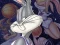 Space Jam เกมออนไลน์