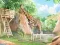Carla's Animal Show เกมออนไลน์