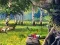 Scout Camp เกมออนไลน์