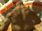 Monster Simulator เกมออนไลน์