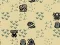 Lost in Jungle เกมออนไลน์