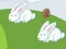Crazy Eggs เกมออนไลน์