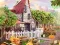 Taste the Tradition เกมออนไลน์
