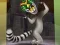 King Julien: Trommel-Tanz เกมออนไลน์