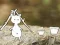 Our Little Island เกมออนไลน์
