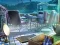 The Mysterious Creatures เกมออนไลน์