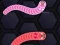 Angry Worms เกมออนไลน์