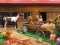 Horse Ranch เกมออนไลน์