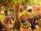Lovely Farmland เกมออนไลน์