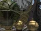 Planetarium เกมออนไลน์