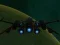 Spaceship Arena เกมออนไลน์