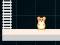Hamster Grid Even Odd เกมออนไลน์