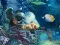 Sunken Gold เกมออนไลน์