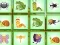 Find The Insect เกมออนไลน์