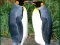 Penguin Puzzle เกมออนไลน์