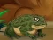 Frogs Matching เกมออนไลน์
