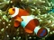 Underwater Hidden Numbers เกมออนไลน์