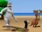 Albatross Overload เกมออนไลน์