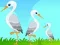 Little Garden Escape เกมออนไลน์