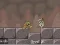 Roly-Poly Eliminator 2 เกมออนไลน์