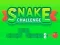 Snake Challenge เกมออนไลน์