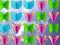 Butterfly Collector เกมออนไลน์