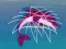 Dolphin Rescue เกมออนไลน์