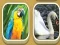 Match Zoo เกมออนไลน์