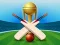 Cricket Champions Cup เกมออนไลน์
