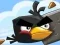 Crazy Birds เกมออนไลน์