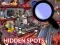 Hidden Spots In The Room เกมออนไลน์