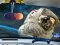 Space Find The Differences เกมออนไลน์