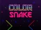 Color Snake เกมออนไลน์