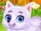 Newborn Puppy Dog Salon เกมออนไลน์