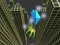 Marble Rolling Stunt เกมออนไลน์