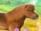 My Dear Pony เกมออนไลน์