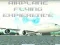 Airplane Flying Expierence เกมออนไลน์
