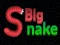 Big Snake.io เกมออนไลน์