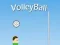 VolleyBall เกมออนไลน์
